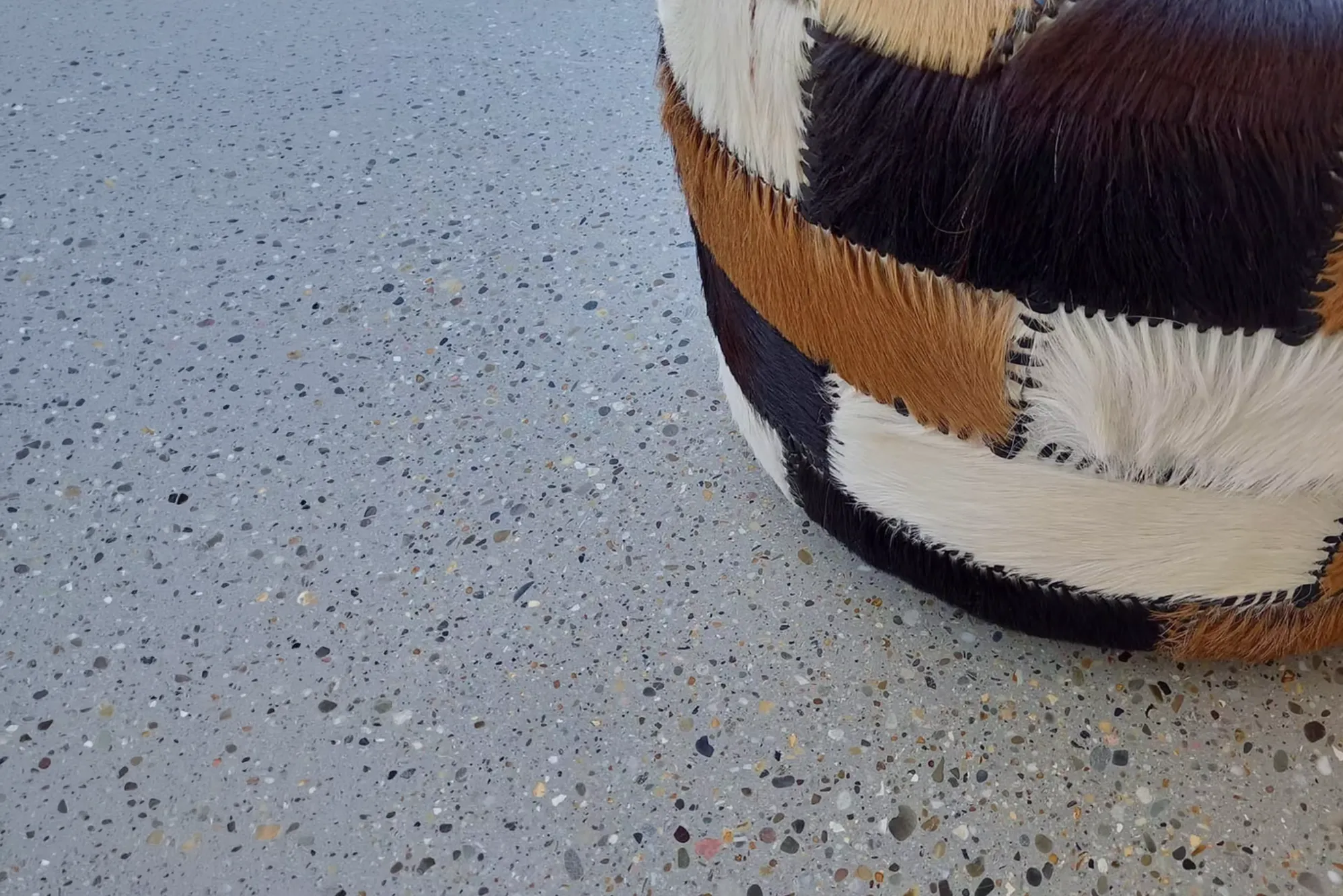Terrazzo betonvloer Van Rooy Betonvloeren uit Westerlo